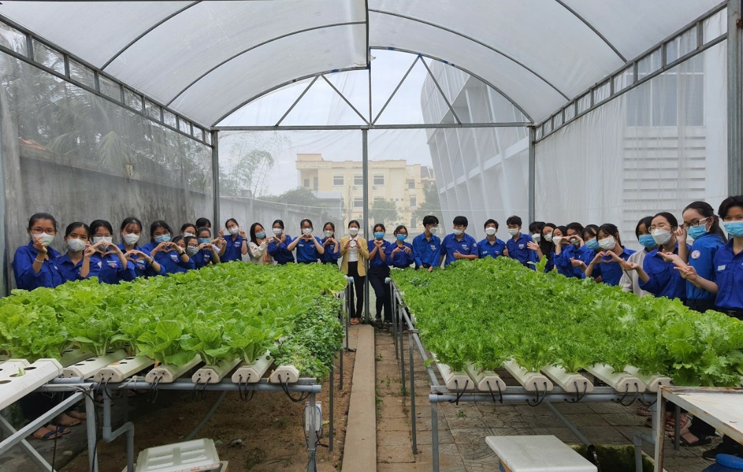 anh 3- giai phap 5 ngay tinh nguyen